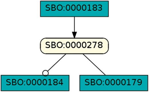 Transcription, translation and degradation of messenger RNA.