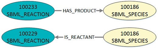 Visualization of the exemplary query output after conversion into DOT-format. The figure shows the two exemplary edges that are defined in Listing 2. In DOT-format the nodes are additionally labelled as either SBML reaction or SBML species. The edge type in the DOT-format is also defined as a label. Furthermore, the edge direction and type for the reactant role is adjusted.