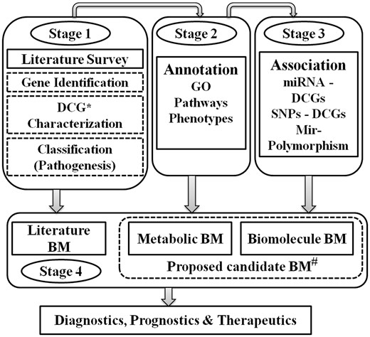Stage-wise workflow of ILDgenDB knowledge resource. *DCG: disease candidate gene; #BM: biomarkers: analysis of genetic data for the prediction of potential biomarkers.