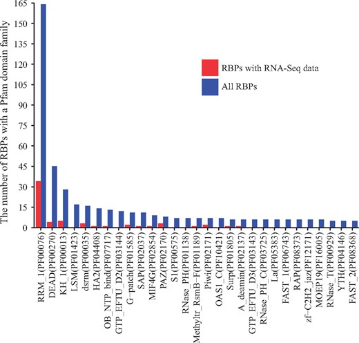 The number of RBPs containing a domain from a Pfam family with RNA-binding activity. Blue bars indicate the number of RBPs containing a domain from a family among all RBPs, and red bars indicate the numbers of RBPs containing a domain from a family among the RBPs with associated RNA-Seq datasets. Only families with a blue bar with ≥5 RBPs are shown.