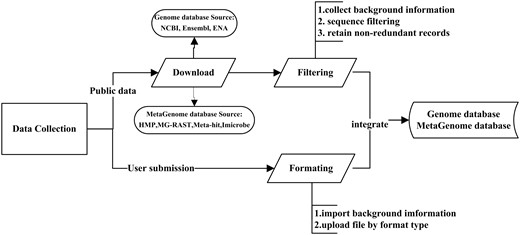 Workflow of the data integration processes. Data are imported from two main sources: public resources and users. For public data: Through the collected background information, some records which lack of background information will be discarded. Then data filtering among different databases was conducted by our self-designed program. Finally, the non-redundant data are uploaded to the integrated genome and metagenome database. For user’s data: Users should input the complete background information, then upload related files with corresponding format types (FASTQ, FASTA and TXT).
