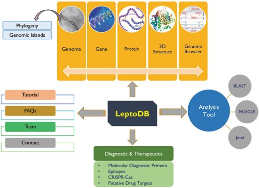 LeptoDB architecture.