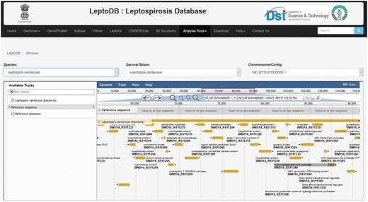 JBrowse showing annotated gene features.