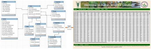 Schematic representation of the flow of data from the backend (MySQL) database to the frontend (JSP page) using middleware (Glassfish server) program.