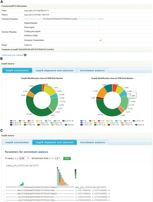 Screen shots of User Interface—Annotation. Information of canonical piRNAs (A). Diagrams to illustrate piRNA isoforms constitution (B). Select piRNA isoforms for target analysis (C).