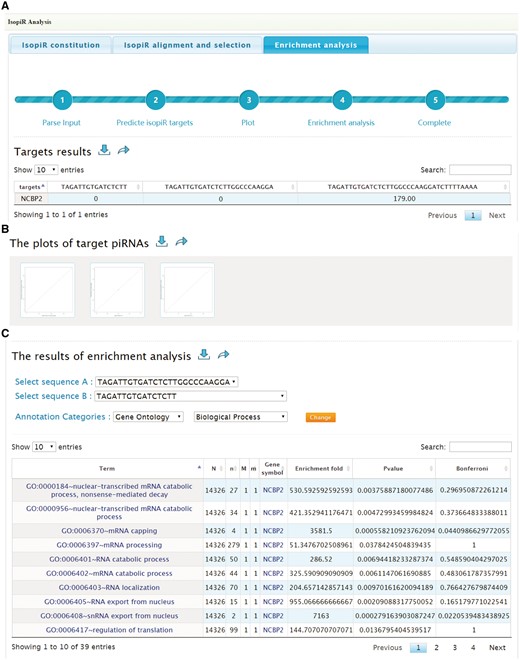 Screen shots of User Interface—Enrichment analysis. Target list (A) and scatterplots (B) to illustrate the effects of selected piRNA isoforms on targets selection. Enrichment results of target genes (C).