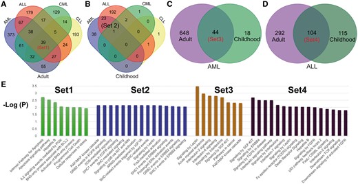 Overlapping and functional enrichment for genes associated with four major leukemia subtypes. (A) Venn diagram showing the comparative overlap of the 4 major subtypes in adult patients: ALL, AML, CLL and CML. (B) Venn diagram showing the comparative overlap of the four major subtypes in childhood patients. (C) The intersection of AML genes from adult and childhood studies. (D) The intersection of ALL genes from adult and childhood studies. (E) The enriched KEGG pathways for the genes from the four different subtypes.