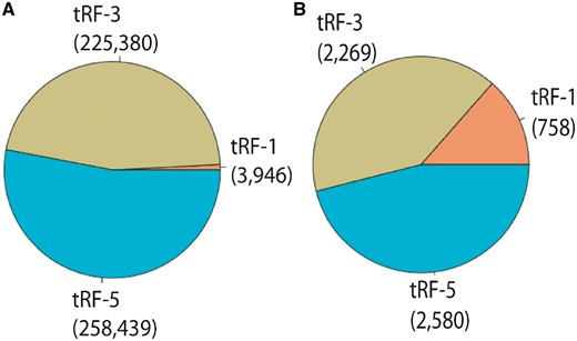 Distribution of different types of tRFs available at PtRFdb, (A) total entries of different tRF-types stored in PtRFdb, (B) unique tRFs sequences (tRF-5, tRF-3 and tRF-1) in all plant species present in PtRFdb.