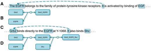 Coreferences in biological texts. (A) is a sentence depicting a biological reaction illustrated by (B and C) is a sentence depicting a biological reaction illustrated by (D).
