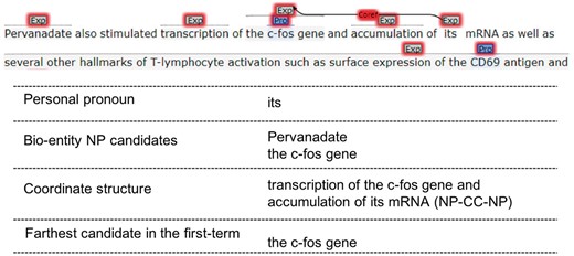 Personal pronoun resolution.