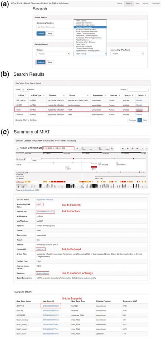 The workflow of HDncRNA. (a) Search page of HDncRNA, in which two search methods are provided. (b) Table contains search results. In the table, data can be ordered by every column, search in table is also supported. (c) Details webpage of the lncRNA MIAT. The top model is visualization of the MIAT, the genome locus and nearby biological molecules can be seen. In the middle model, detailed information of MIAT is provided. Neighbor genes of MIAT are shown in the bottom model. Relative position and distance between each two genes are provided as well.