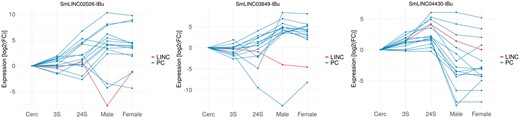 Co-expressed Smp-SmLINC subclusters along the five parasites’ developmental stages raise hypothesis on S. mansoni lncRNAs functionality. The three charts depict both positively and negatively correlated Smp-SmLINC pairs.