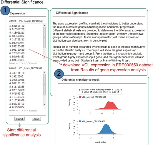 Step-by-step usage of KM-Express for differential significance test. (1) Input the gene expression level in two groups, separating each number by a line break, tab or comma, and then submit to run the statistics analysis. Two statistical tests are simultaneously provided to determine the differential significance of the user-selected genes (Student’s t-test and Mann–Whitney U-test) in two groups. (2) The output provides a gene expression distribution density plot. The significance level is also provided using both Student’s t-test and Mann–Whitney U-test.