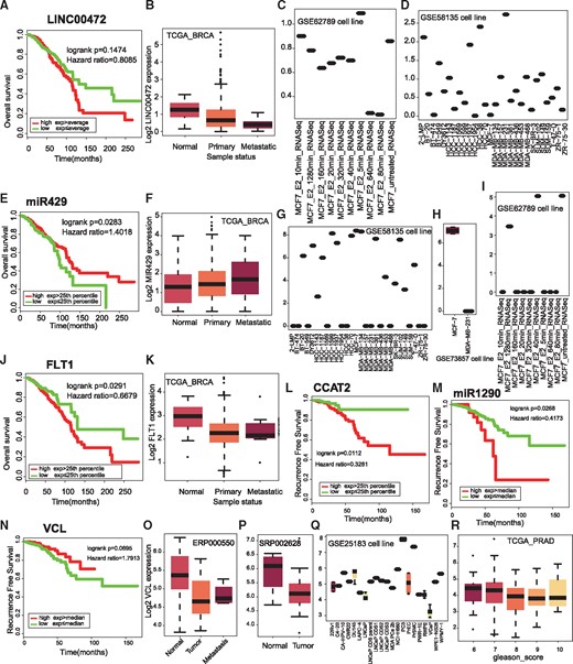 Validation of previously reported prognostic biomarkers. (A) Kaplan–Meier plot for lncRNA LINC00472. (B) Differential expression of LINC00472 among tumor and normal patients. Expression change of LINC00472 after estradiol (E2) treatment in MCF7 cells (C) and in 28 breast cancer cell lines (D). (E) Kaplan–Meier plot for miR429. (F) Differential expression of miR429 in metastatic patients compared with primary breast cancer patients and normal tissue. Expression of miR429 in different cell lines (G, H) and after E2 treatment (I). (J) Kaplan–Meier plot for the protein coding gene VEGFR1 (FLT1). Expression of FLT in normal breast samples and cancer patients (K). Kaplan–Meier plot for lncRNA CCAT2 (L) and miR1290 (M) and VCL (N). Differential expression of VCL between normal and tumor prostate (O, P) and in prostate cancer cell lines (Q). (R) VCL is differentially expressed in patients with different Gleason score.