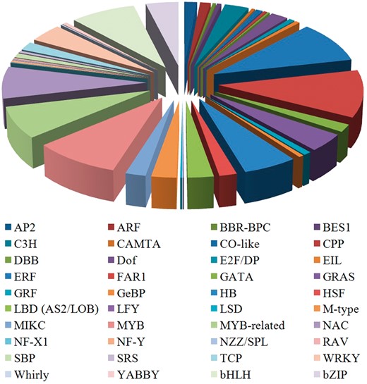 Distribution of various TF families in celery.