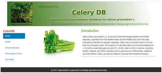 Homepage of CeleryDB.