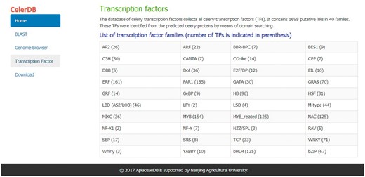 Number of different TF families and the interface of TF.