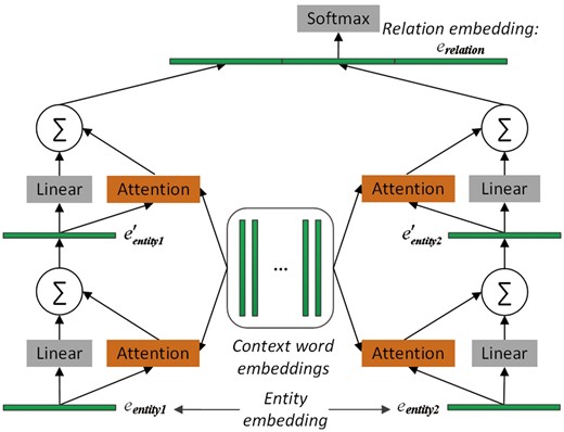 The architecture of the proposed memory network-based model. It consists of two memory networks, each of which contains two computational layers. Embeddings of entity1, entity2 and relation are learned by TransE. Note that the two memory networks share the same parameters, namely, that the same attention operation is applied to both entity1 and entity2. Finally, the two output vectors of the two memory networks and the relation embeddings are concatenated. The resulting vector is fed to the softmax layer for relation classification.
