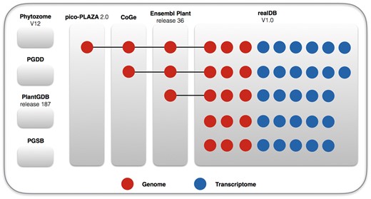 Genomes and transcriptomes included in realDB showing the comparison of datasets among several leading comprehensive databases. Phytozome V12, PGDD, PlantGDB, and PGSB have not included any red algal genome. Pico-Plaza 2.9, CoGe and Ensembl Plant each contains 1, 2, and 3 red algal genomes, respectively. In comparison, realDB now has 10 red algal genomes and 27 transcriptomes.