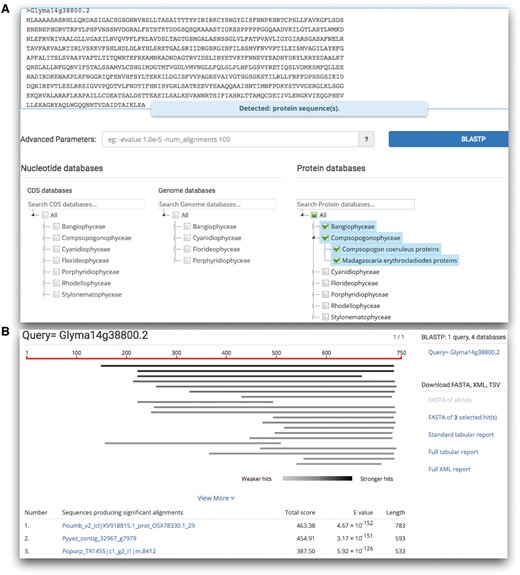 The BLAST search provided by realDB. (A) Users can search any combination of datasets by clicking on each red algal species. (B) An example of the search result. Users could download the hits in FASTA format, alignment data in tab-delimited and XML format for further analysis.