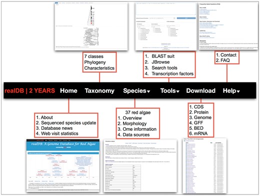 realDB offers a series of tools for online analysis. This menu offers detailed resources and tools integrated in realDB. A snapshot was presented to each menu to help readers quickly catch the related information.
