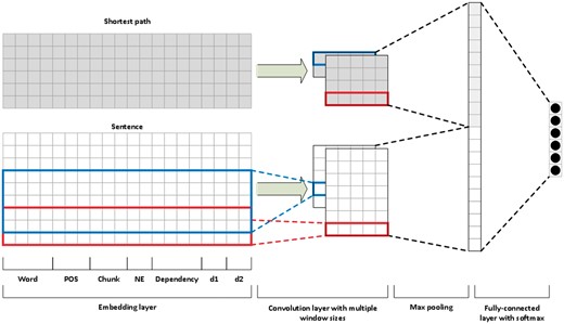 Overview of the CNN model.