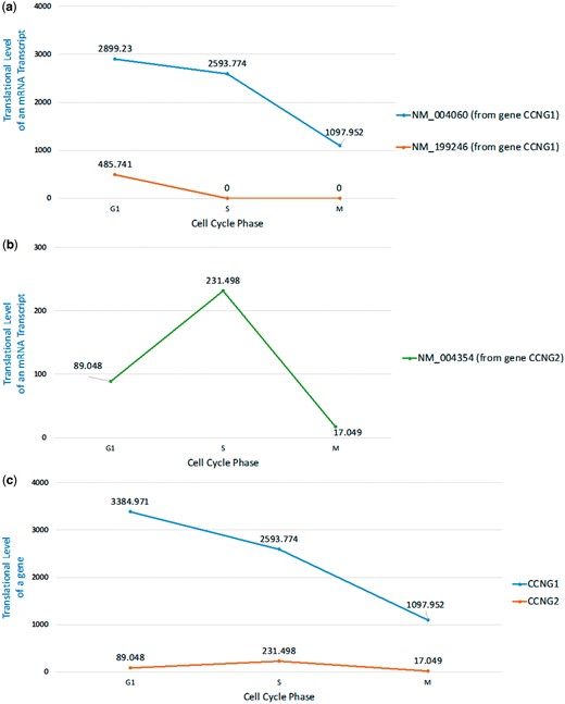Translational levels of the selected mRNA transcripts and genes in three selected cell cycle RPDs (G1 phase, S phase and M phase). (a) The translational levels of NM_004060 and NM_199246 (the two mRNA isoforms of the gene CCNG1) are shown. (b) The translational levels of NM_004354 (the mRNA transcript of the gene CCNG2) are shown. (c) The translational levels of the genes CCNG1 and CCNG2 are shown.