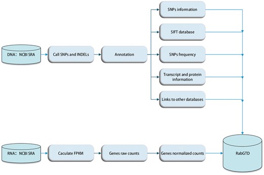 The flow diagram of data preprocessing.