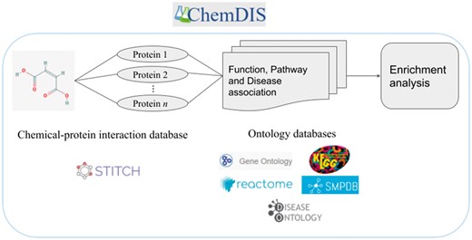 The flowchart of ChemDIS system and associated data sources.