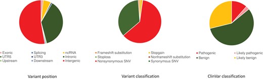 Variant annotation. (a) Gene-based annotation: variant annotation revealing the position of the variants in the genomic region. (b) Functional consequences of the variant. (c) Filter-based annotation: clinical significance of variant based on ClinVar classification.