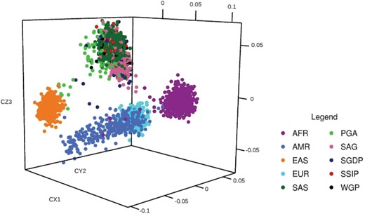 MDS analysis of SAGE: MDS analysis in three-dimensional model revealing the clustering of SAGs into a single cluster. Analysis of SAGE cluster reveals that the samples of SAGE group into a single unique cluster. SAGE cluster is far separated from other groups and as expected SSMP clustered with the other South East Asian cluster. AFR, African; AMR, American; EAS, East Asian; EUR, European; SAS, 1KGP South Asian.