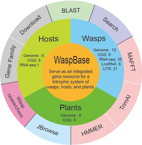 The design of WaspBase. The diagram shows the data and software used in WaspBase.