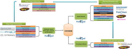Organization of SMMDB. Schematic representation of SMMDB architecture.