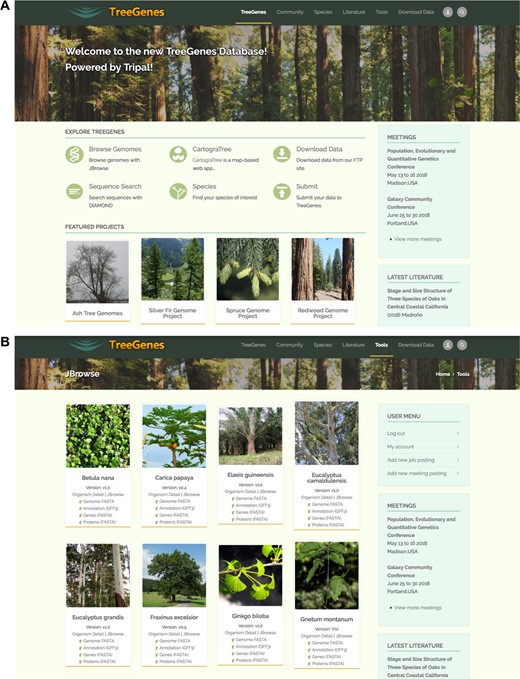 Screen captures of the main TreeGenes webpages. (A) The home page of the TreeGenes database has links to various tools such as JBrowse and CartograTree, as well as links to download and search pages. (B) The JBrowse page landing page which features access to the viewer as well as associated flat files and short read alignment indexes.