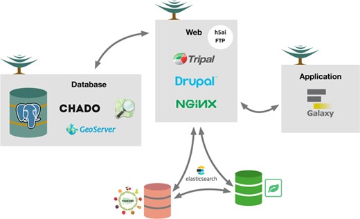 Conceptual overview of the TreeGenes database. The architecture (hardware and software) underlying TreeGenes. There are three distinct servers: database, web and application. The database server, running PostgreSQL, houses
Chado and GeoServer. This connects to the web server which houses Tripal, Drupal and the web server software, NGINX, as well as FTP through h5ai. ElasticSearch is installed as an extension module to provide access to indexed content  in the database and search indexed content in partner databases (Genome Database for Rosaceae and Hardwood Genomics Web). The web server connects to the app server which hosts Galaxy and gives TreeGenes users access to computational resources.