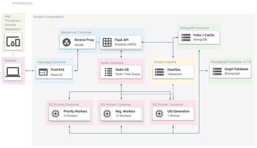 The Docker containers used in Spfy. Arrows represent the connections between different containers, and the entire platform can be recreated with a single command using its Docker-Compose definition. Users access the platform using the ReactJS-based website, which makes requests to the Flask API. Any requested analysis task is distributed to the Redis Task Queue and data files are stored in a Docker volume. MongoDB stores a hash table for efficient duplicate checking of results in Blazegraph.