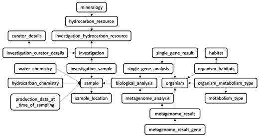 The relational database schema. The database model is divided into 25 tables (23 are shown) with mainly three different types of content (e.g. metadata, static data, and linker tables). The central focus of MetaHCR is the three main tables of ‘investigation’, ‘sample’ and ‘organism’. An investigation can have many samples and a sample can contain many organisms. All the other tables primarily serve as sources for metadata in support of these three tables.
