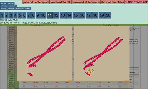 Display after the user clicks on the Z-score column for any threading algorithm. It visualizes threading output to the left and parent template on the right. The numbers 1–20 are clickable that route the users to the corresponding ranked threading templates.