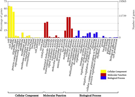 Oil palm genes classification based on GO annotation.