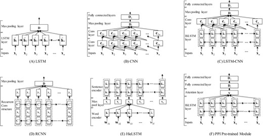 The neural network architectures of our models. (A) The LSTM model. (B) The CNN model. (C) The LSTM-CNN model. (D) The RCNN model. (E) The HieLSTM model. (F) The PPI pre-trained module.