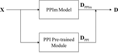The architecture of our model with the PPI pre-trained module.