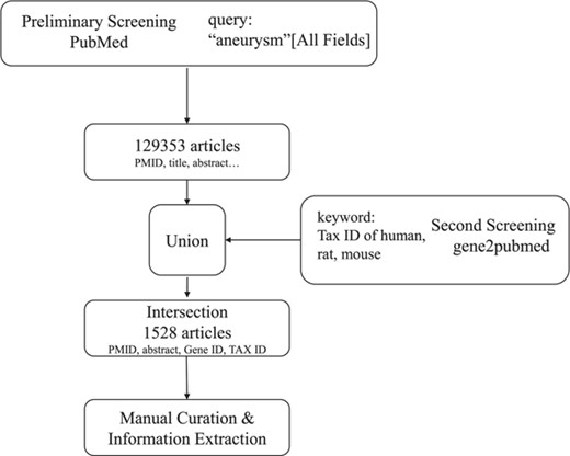 Workflow of literature mining and manual curation.