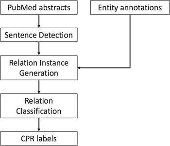 Overview of the system workflow.