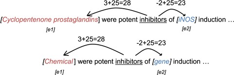 Example of position embedding indices of the word ‘inhibitors’ using raw words (upper) and entity labels (lower).