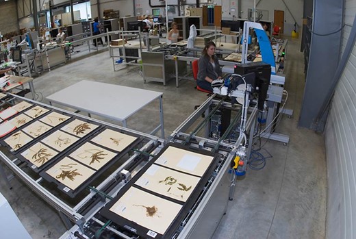 Digistreets for the MNHN in Paris (photo: P. Lafaite, MNHN).