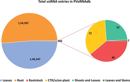 Tissue-wise distribution of total vsiRNA sequences.