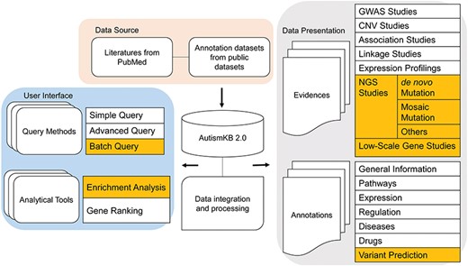 Overview of the structure of AutismKB 2.0. Newly added or modified modules are highlighted.