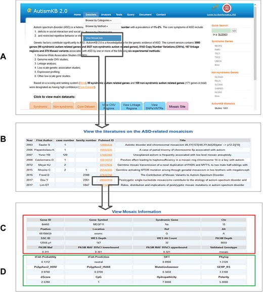 Examples of the webpages of AutismKB 2.0. (A) The data set link for mosaic mutations. (B) List of studies related to ASD-related mosaicism. (C and D) Detailed general information (C) and functional prediction (D) of a mosaic mutation in RELN.