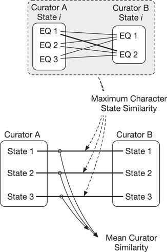 Similarity of annotations between two curators is calculated across multiple character states (e.g. states 1–3, bottom). First, the maximum character state similarity is calculated at the level of a single character state and is the best match (maximum score) in pairwise comparisons across that state’s EQ annotations. Mean curator similarity is then calculated as the mean of the maximum similarities across all character state pairs.
