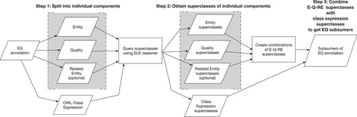 EQ annotations are split into E, Q and RE components and also transformed into an OWL class expression. Superclasses of E, Q and RE and the class expression are queried via ELK. E, Q and RE superclasses are combined in the form E–Q–RE. These E–Q–RE superclasses along with the class expression’s superclasses form the subsumers of the EQ annotation for computation of semantic similarity.